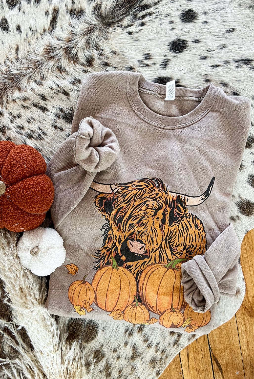Fall Howdy Highland Sweatshirt (mocha)