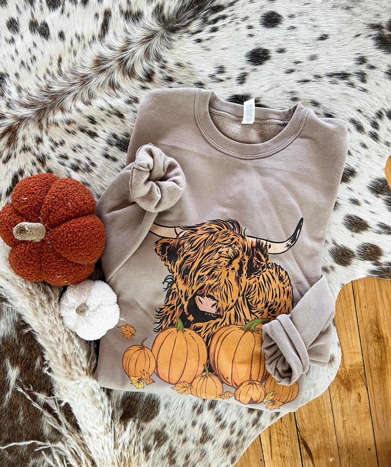 Fall Howdy Highland Sweatshirt (mocha)
