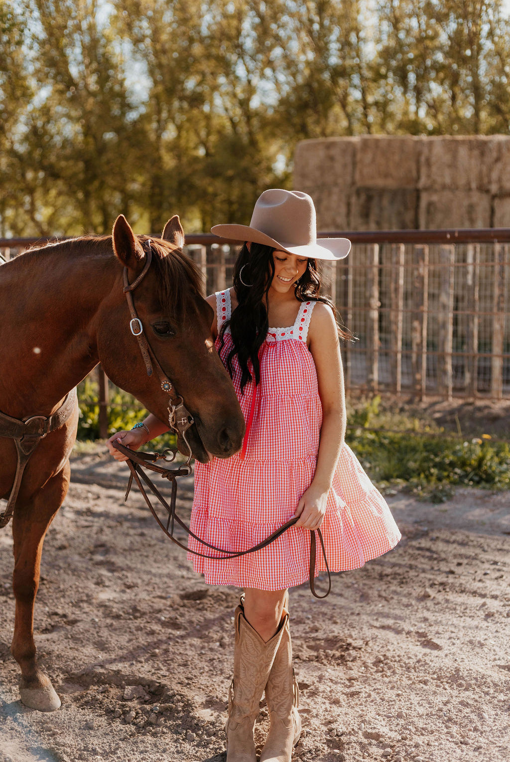 Sweet Land of Liberty Gingham Dress