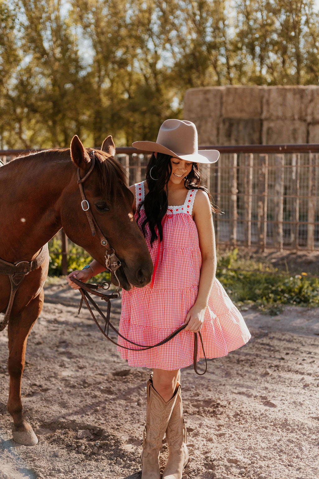 Sweet Land of Liberty Gingham Dress