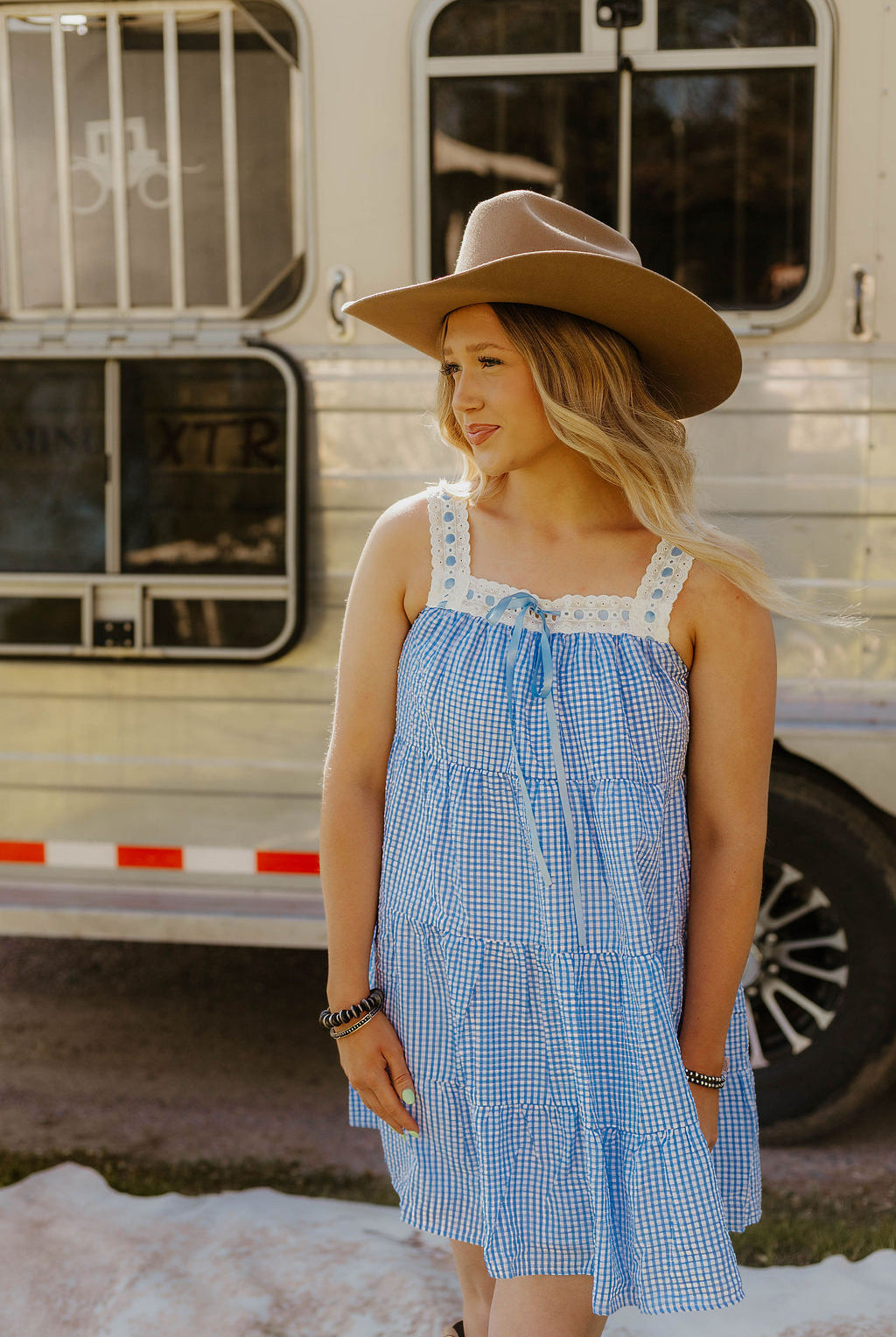 Sweet Land of Liberty Gingham Dress (Blue)
