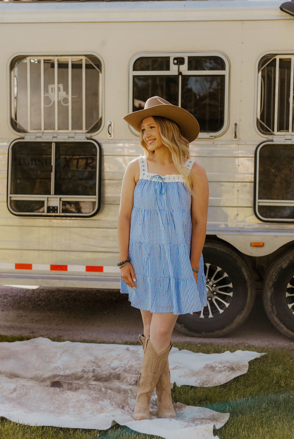 Sweet Land of Liberty Gingham Dress (Blue)