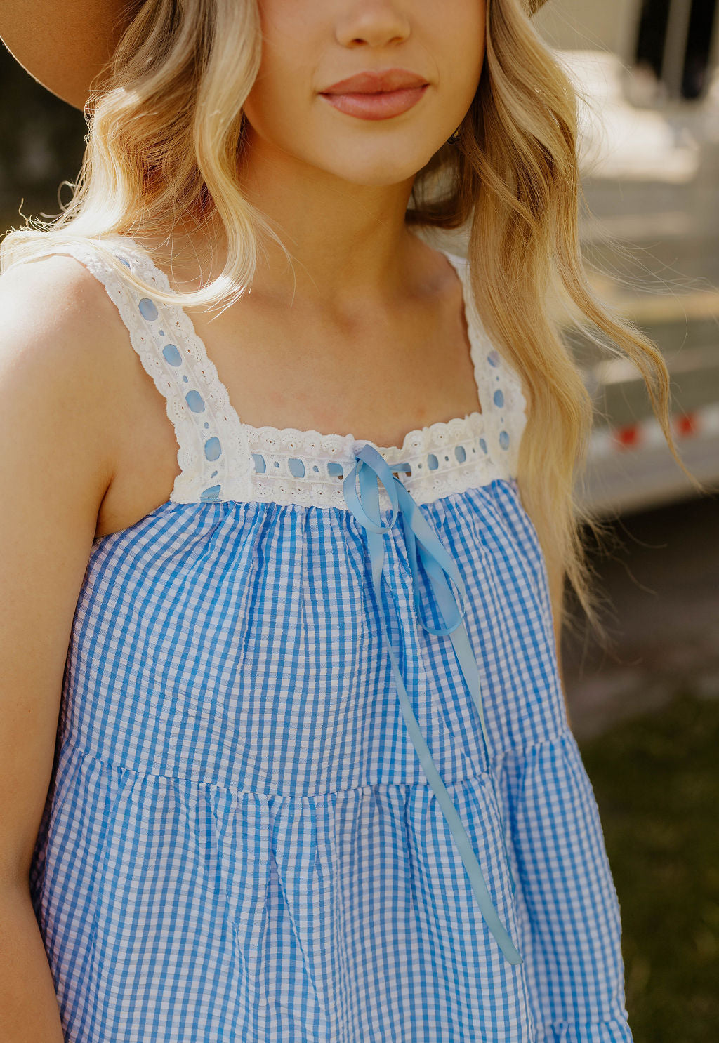 Sweet Land of Liberty Gingham Dress (Blue)