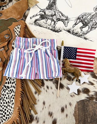 American Stripes Swim Trunks (little kid)(final sale)