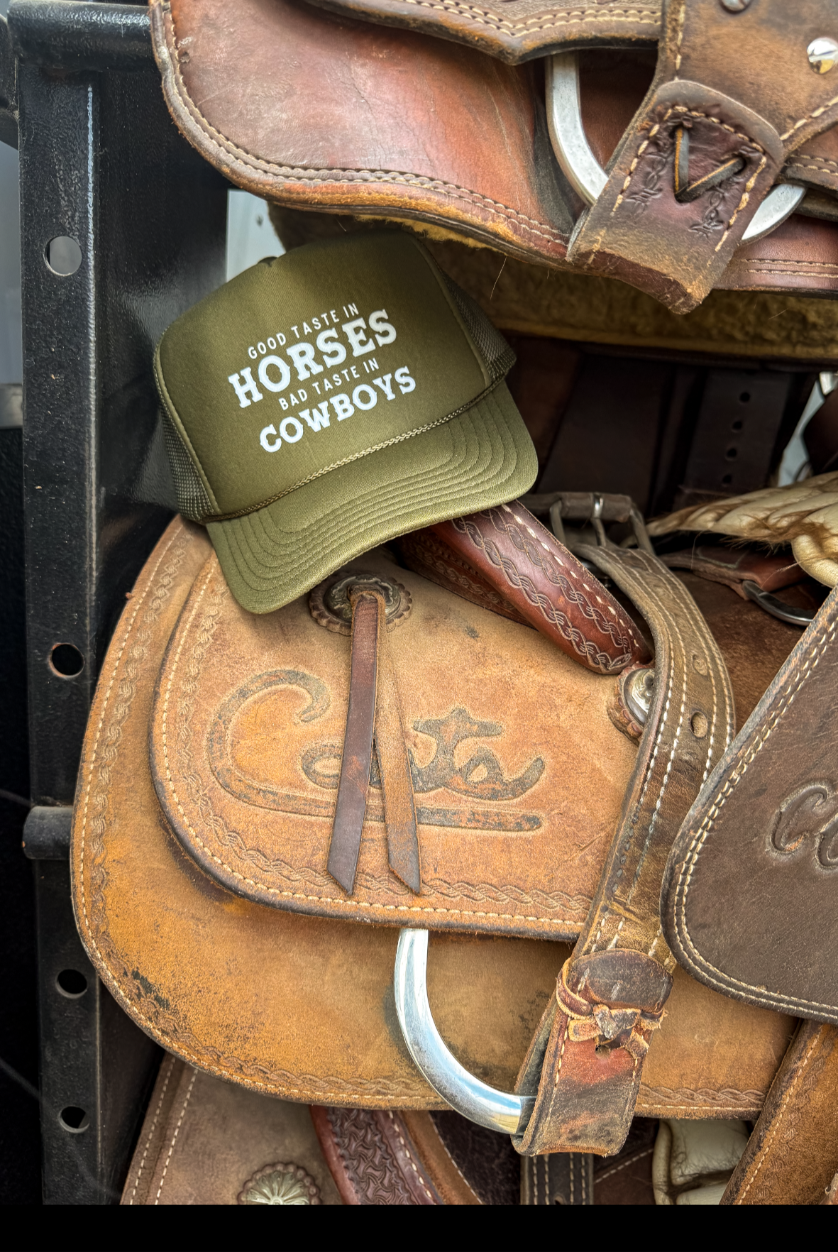 Good Taste In Horses Trucker Hat (Adult)