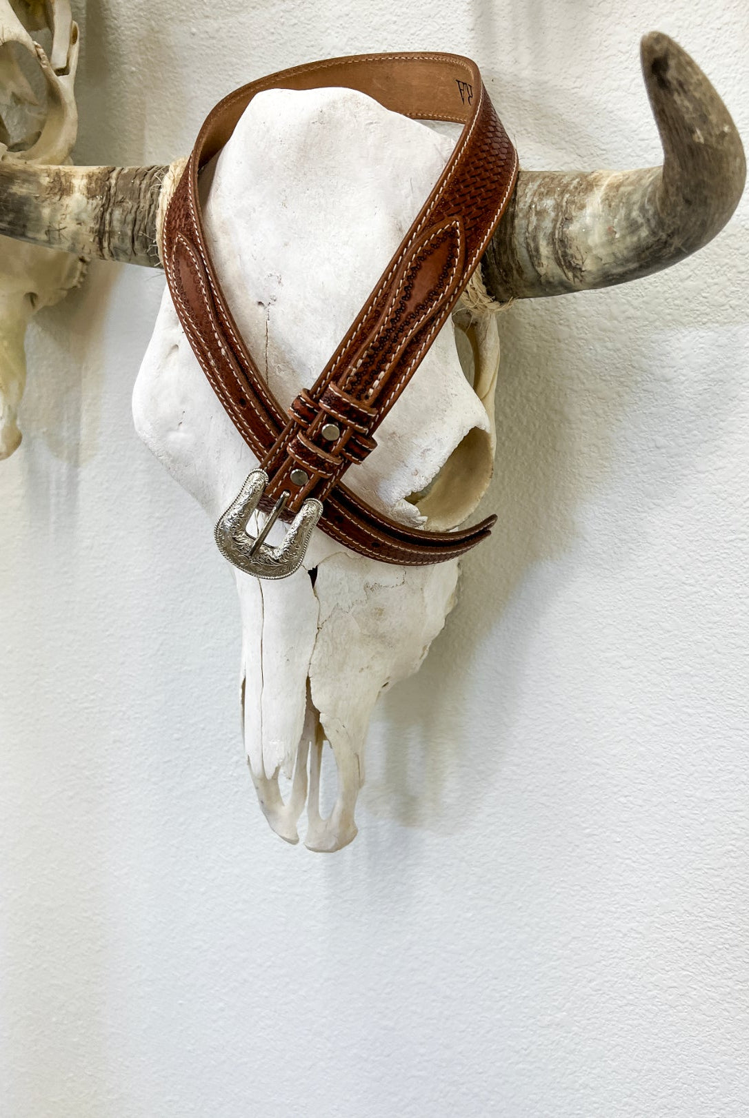 The Double Western Belt AD101