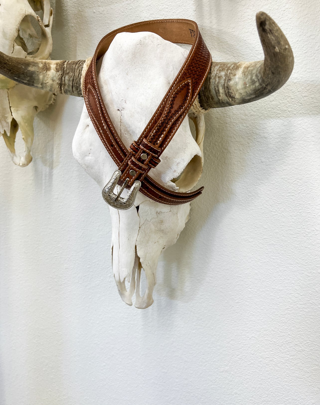 The Double Western Belt AD101