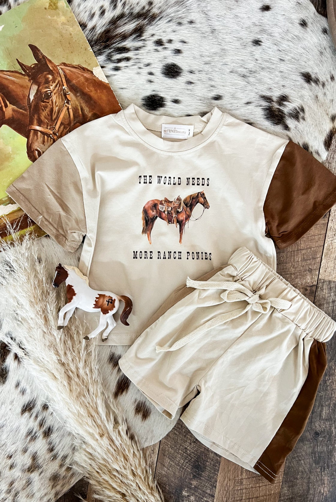 World Needs More Ranch Horses Color Block Short Set