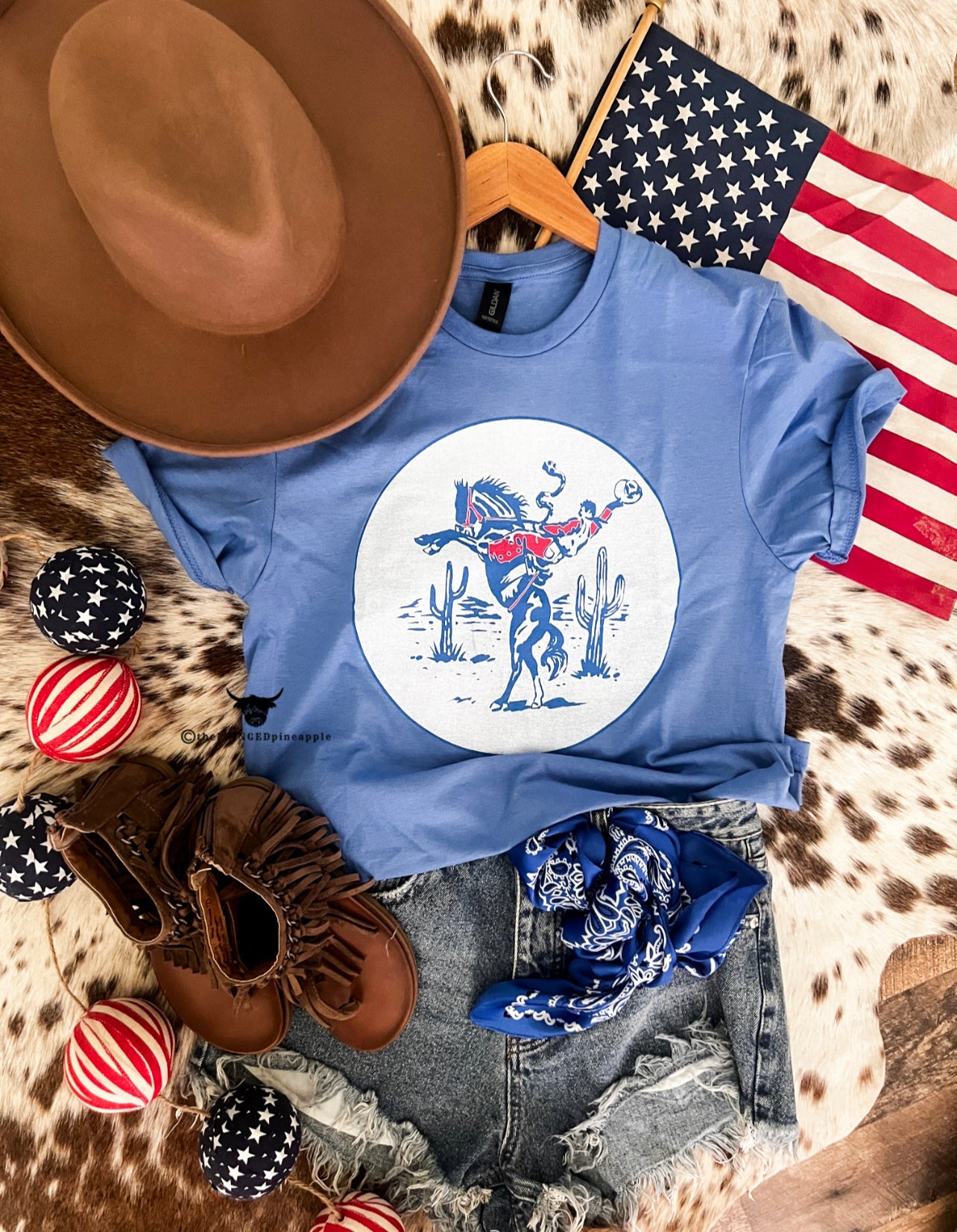 Western 4th Of July - Desert Cowboy