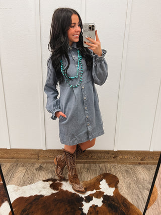 Denim Days Button Up Dress (Dark)