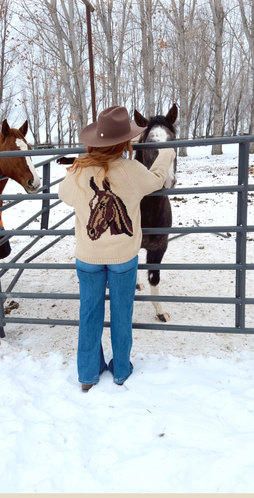 Giddy Up Horse Sweater - Lighter Knit