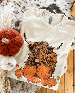 Fall Howdy Highland Tee (cream)