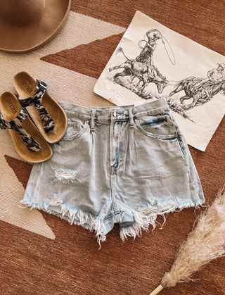 High Rise Dreamin Days Denim Shorts(S5071-3)