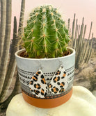 Leopard Teardrop Earrings