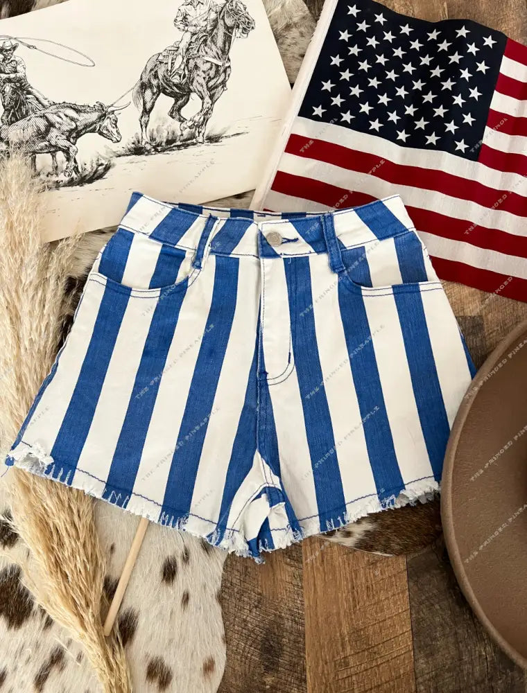 Striped Blue Denim Shorts(6120A)