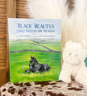 Black Beauty - Early Days Book
